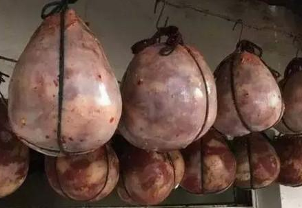 乐竟体育官网