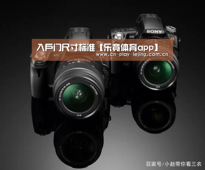 乐竟体育官网