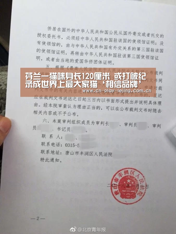 相信品牌
