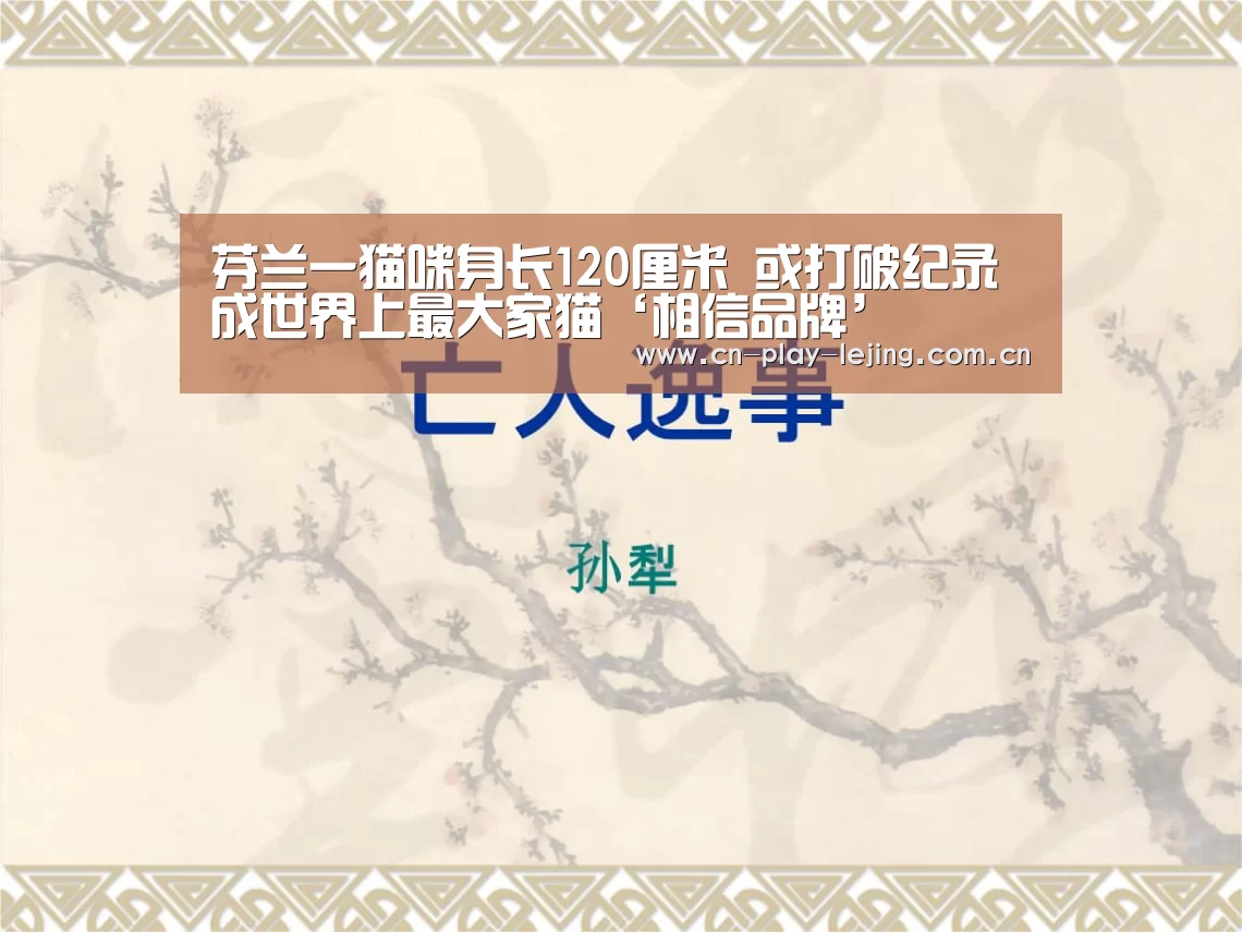 相信品牌